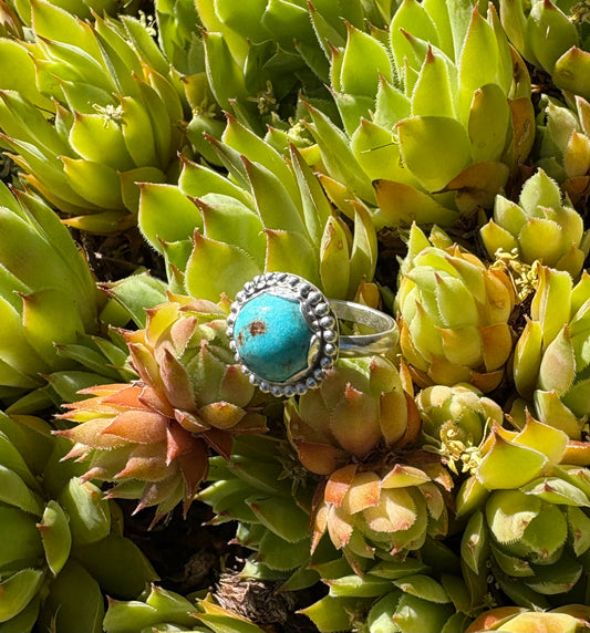 Turquoise Ring (Size 6)