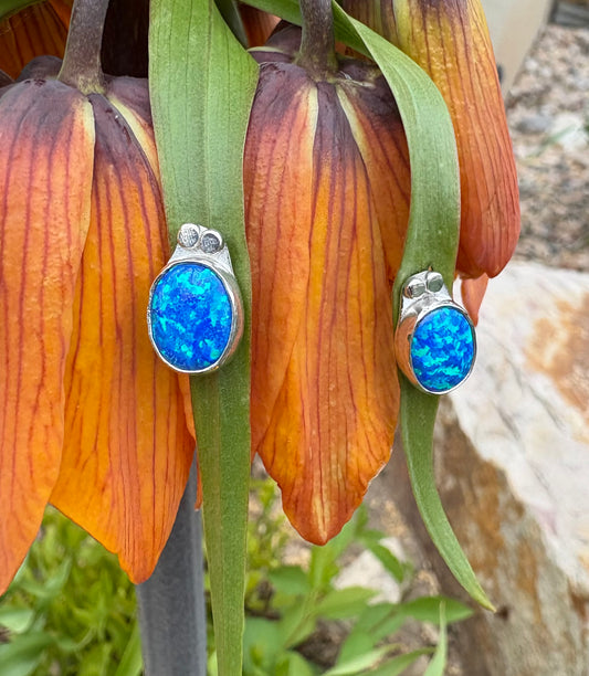 Lab Created Opal Earrings