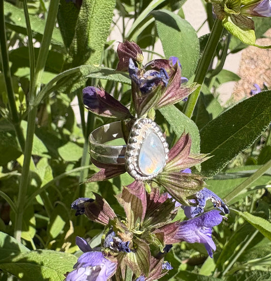 Teardrop Moonstone Ring (Size 4.5)
