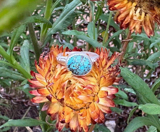 Kingman Turquoise Ring (Size 7.5)