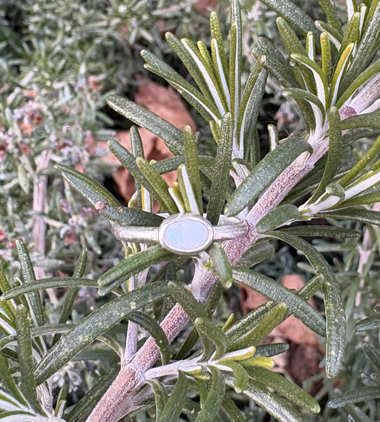 Small Opal Ring (Size 5)