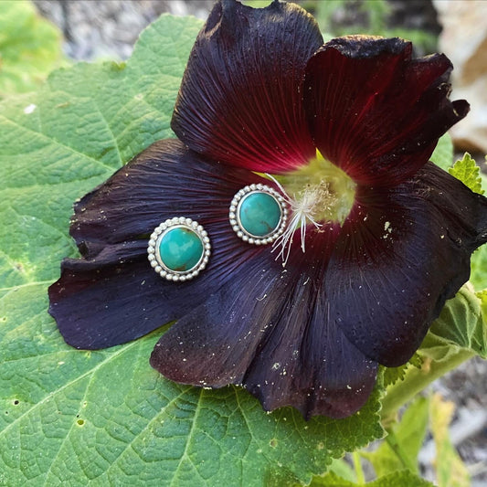 Kingman Turquoise Earrings