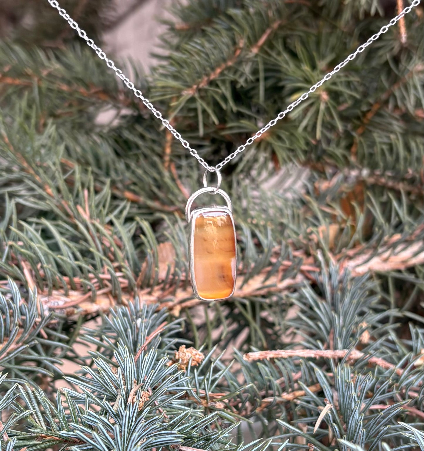Montana Agate Necklace (18 inch chain)