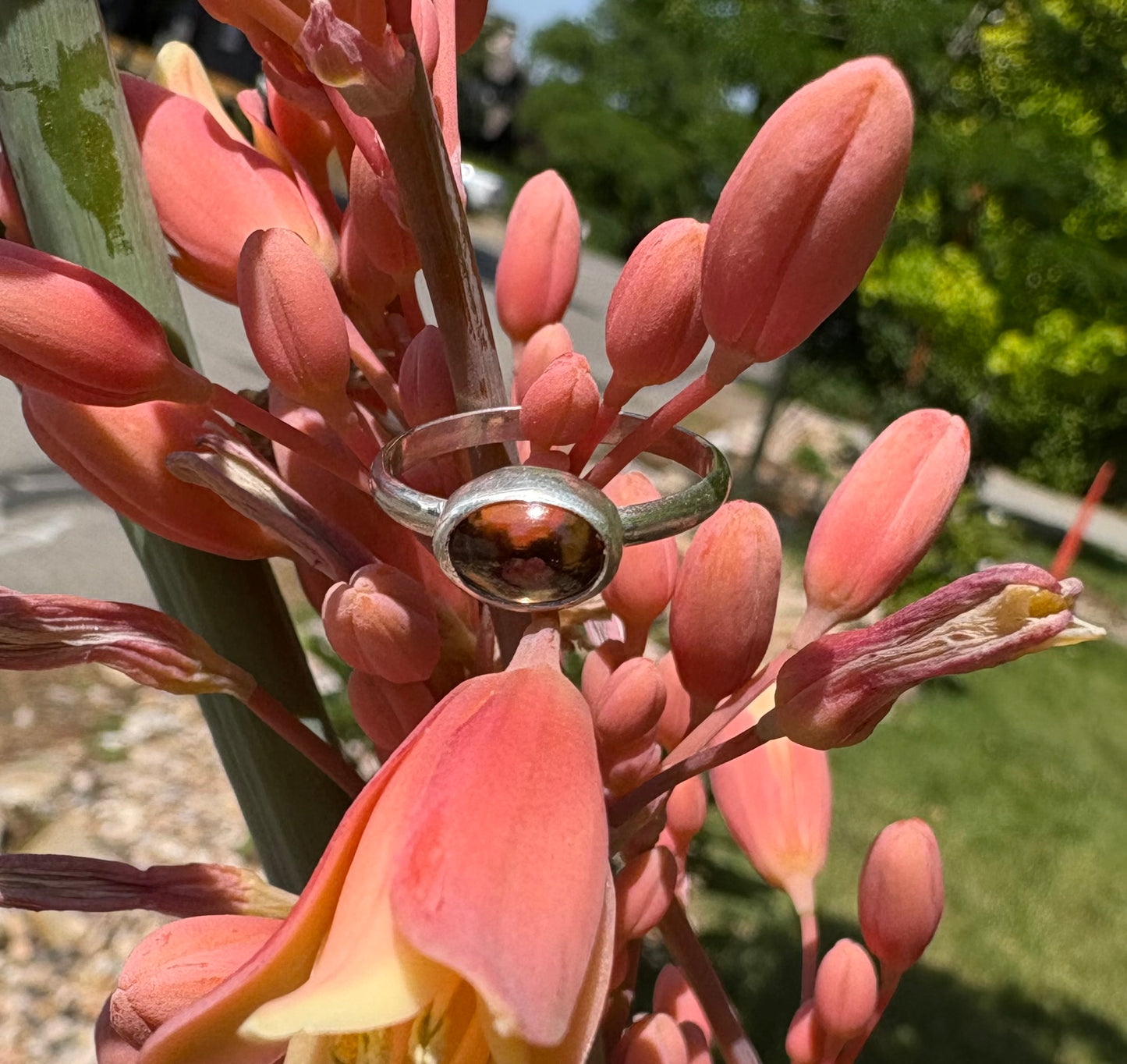 Tanzanian Sapphire Ring (Size 5.75)