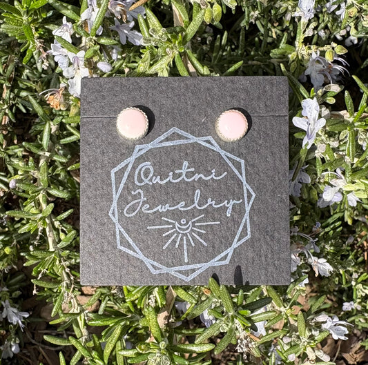 Conch Shell earrings