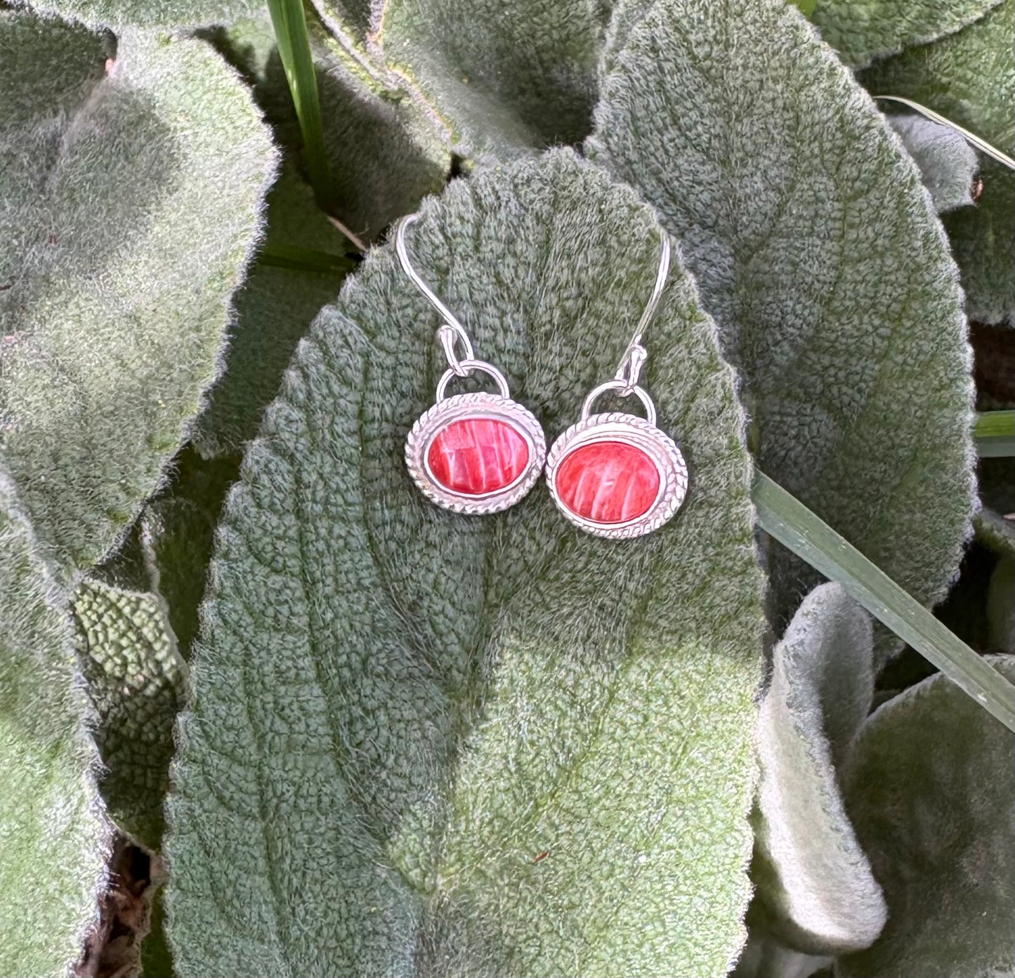 Spiny Oyster Shell Earrings