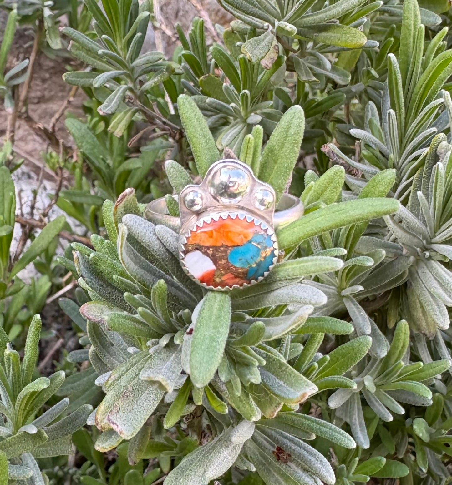 Spiny Oyster and Turquoise Ring (Size 8.5)