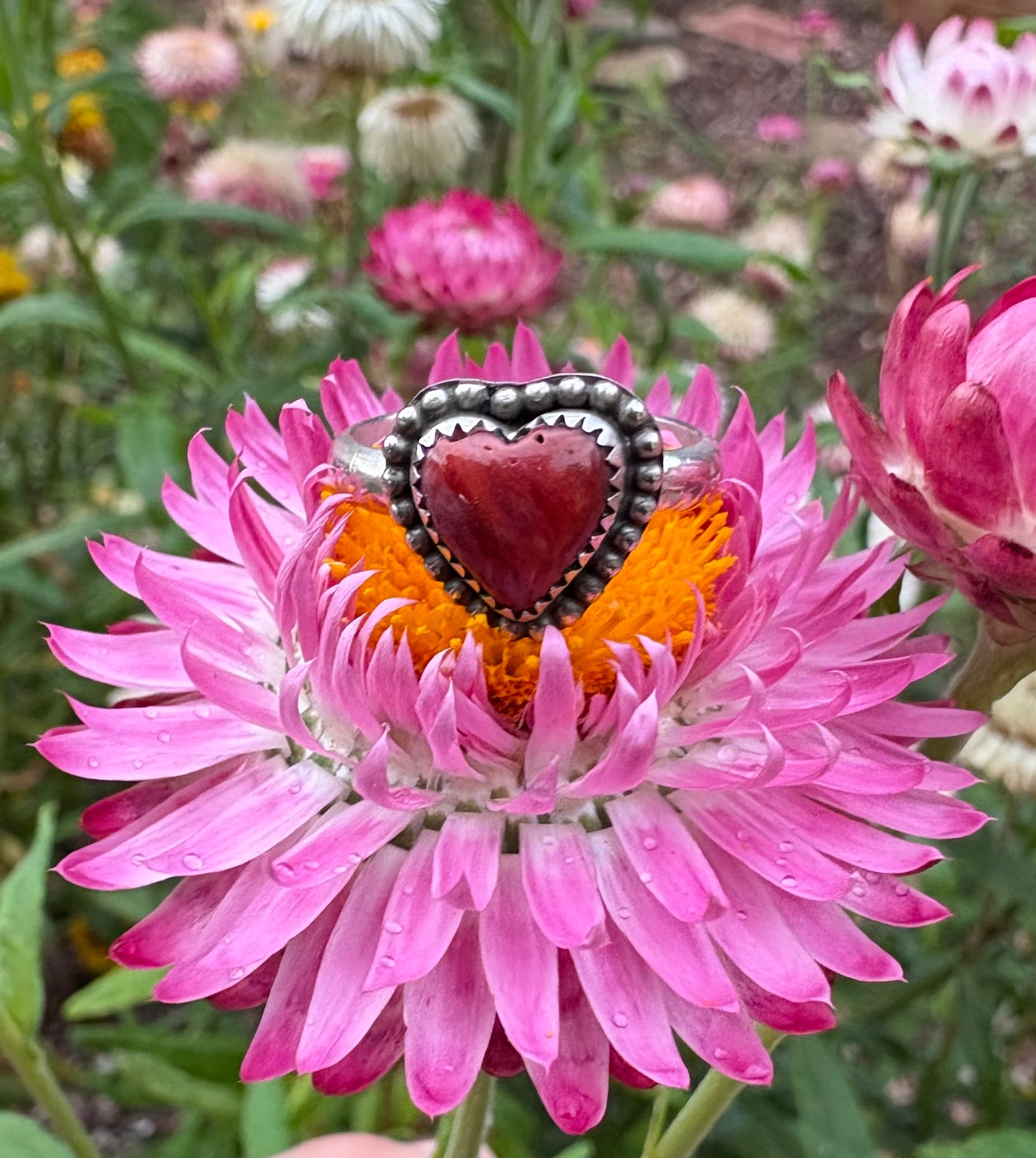 Desert Magic Ring