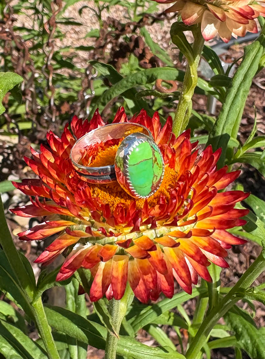 Green Mohave Turquoise Ring (Size 7.5)