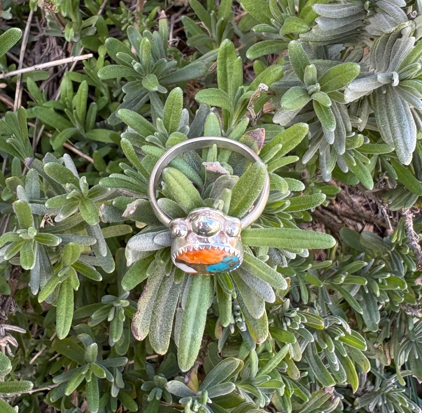 Spiny Oyster and Turquoise Ring (Size 8.5)