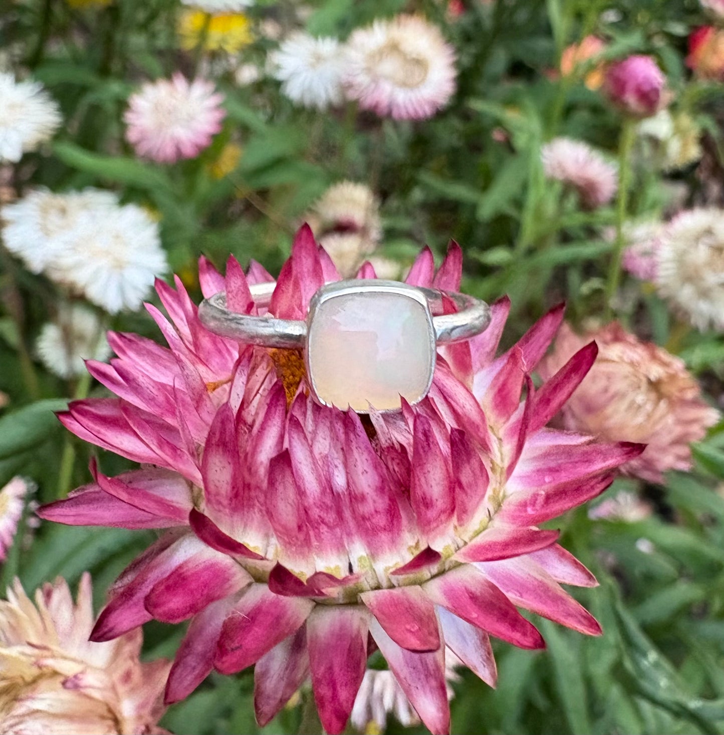 Square Ethiopian Opal Ring (Size 7)