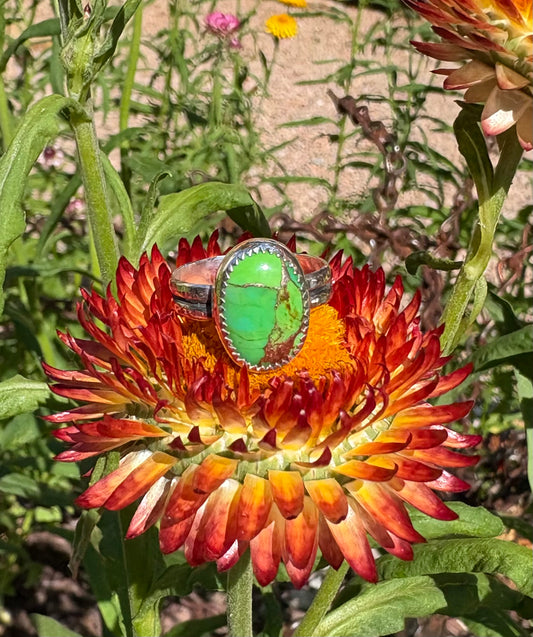 Green Mohave Turquoise Ring (Size 7.5)