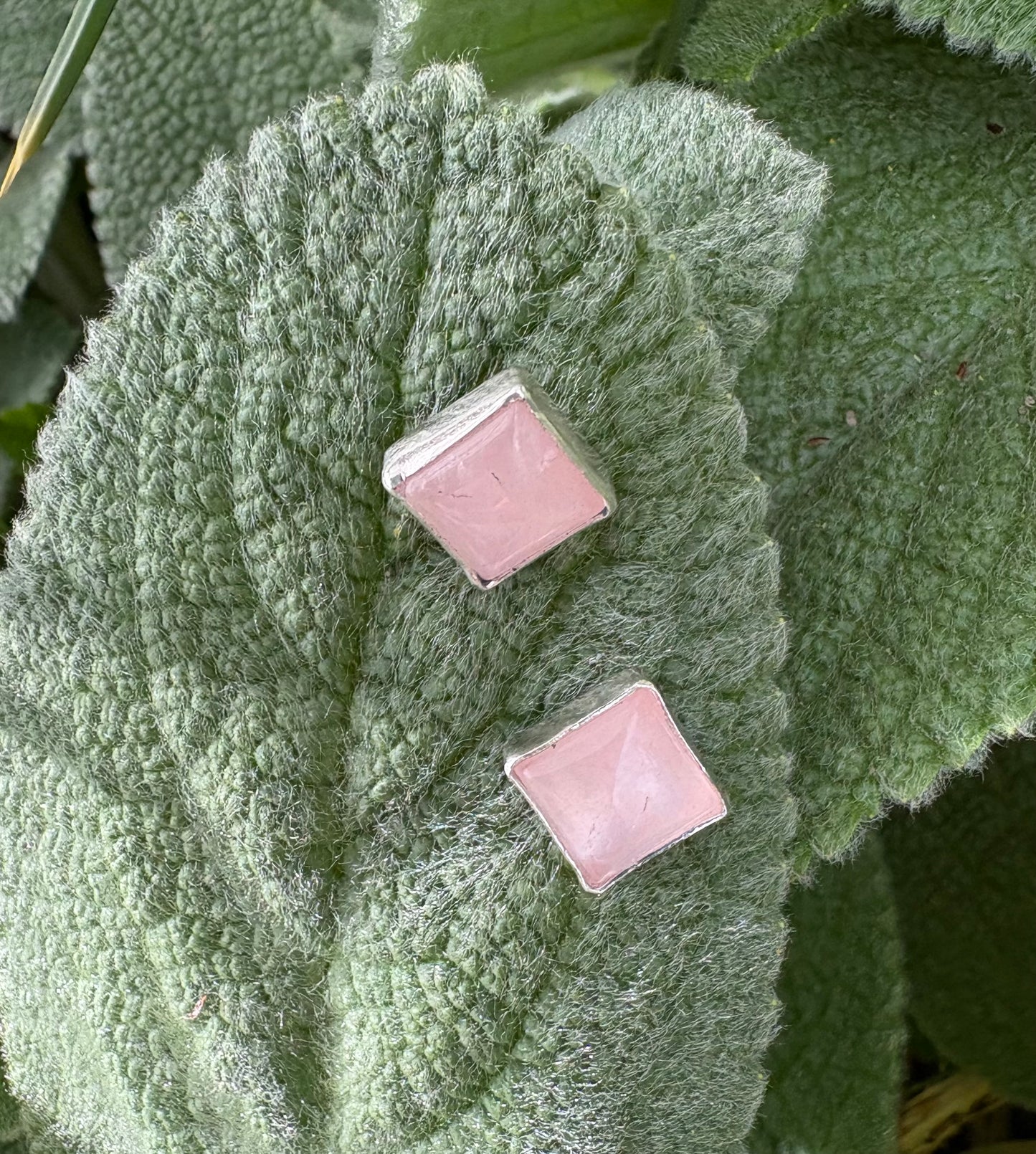 Rose Quartz Earrings