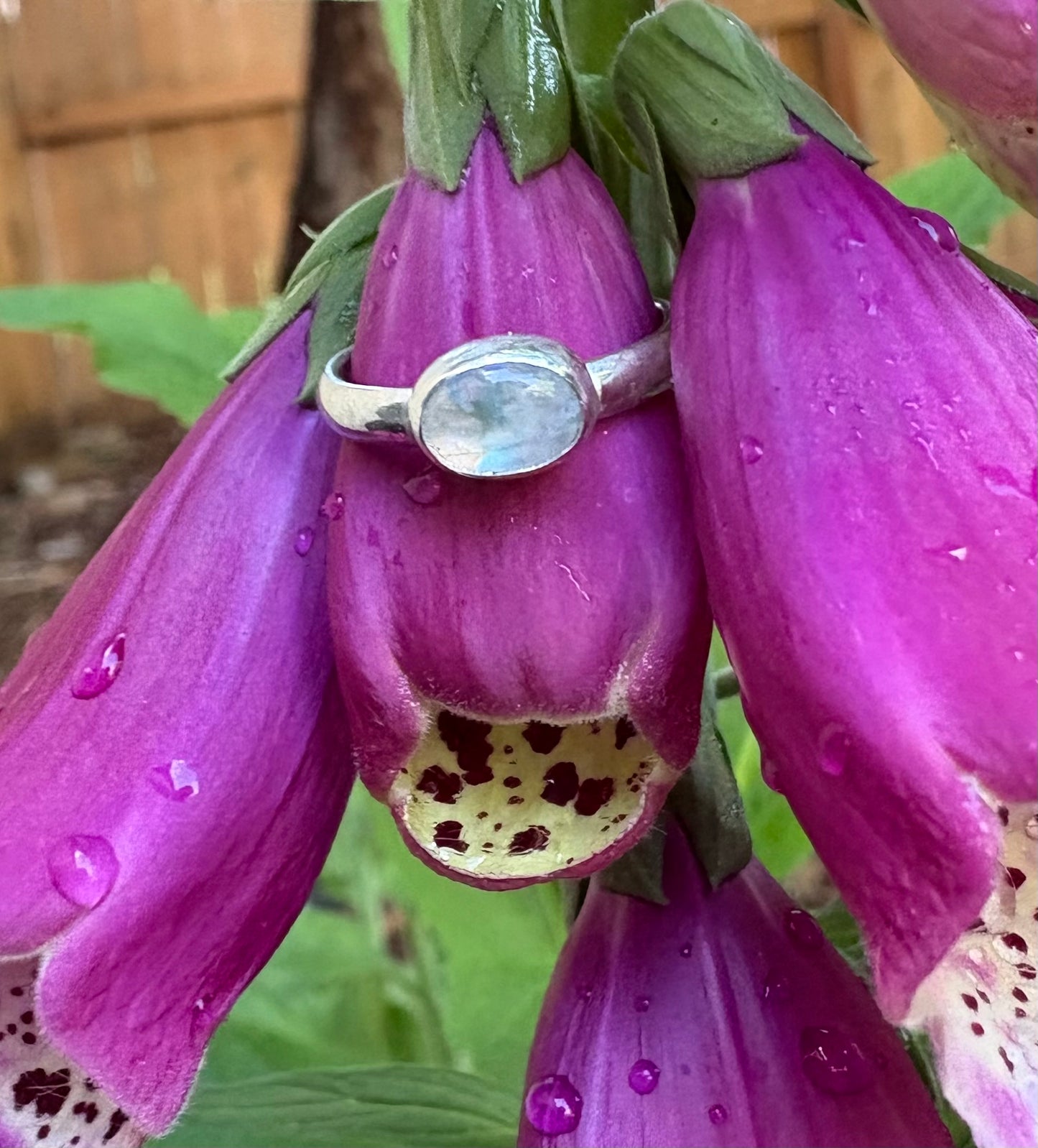 Moonstone Ring (Size 4)