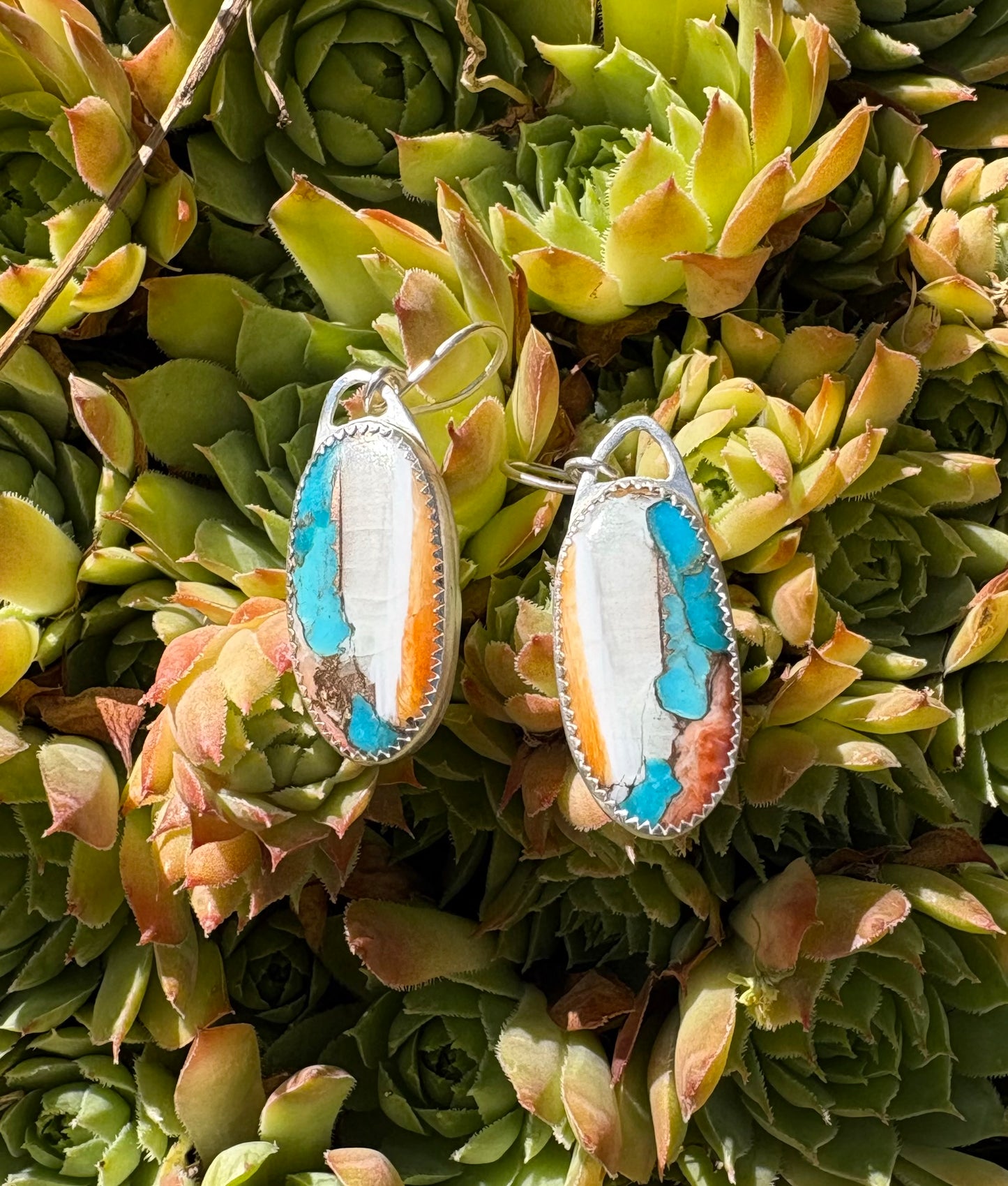 Spiny Oyster and Turquoise Earrings