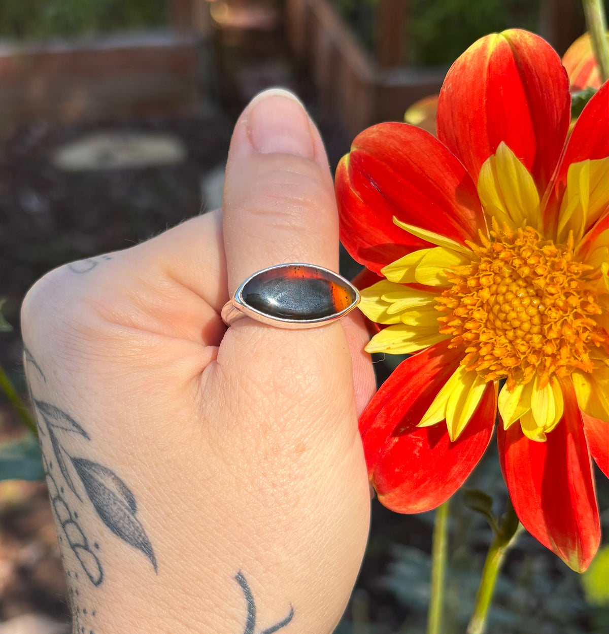 Watchful Eye Montana Agate Ring (Size 9.5)