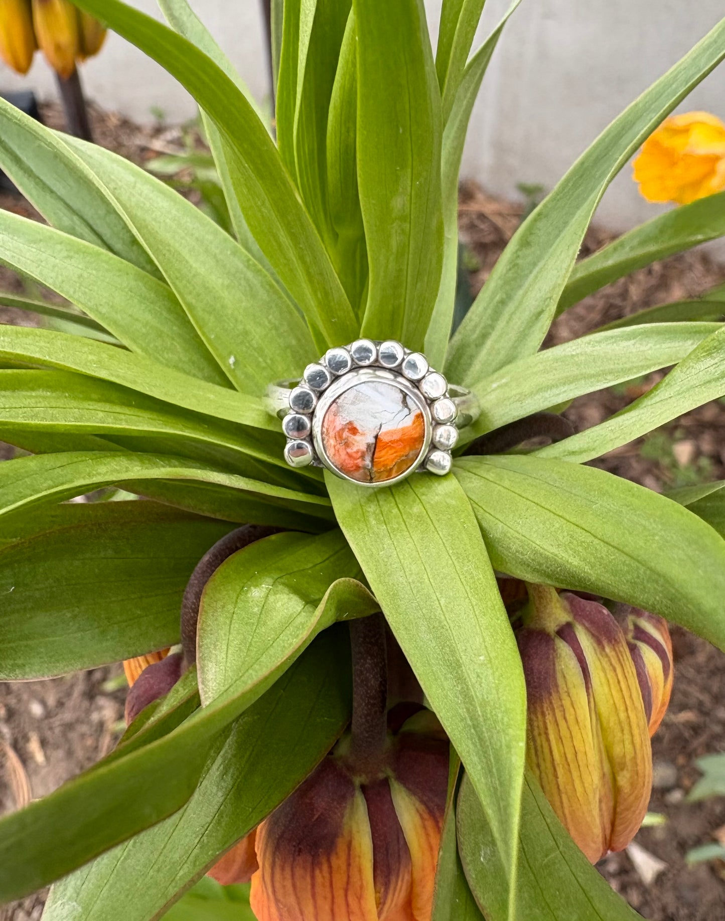 Spiny Oyster Ring (Size 9.5)