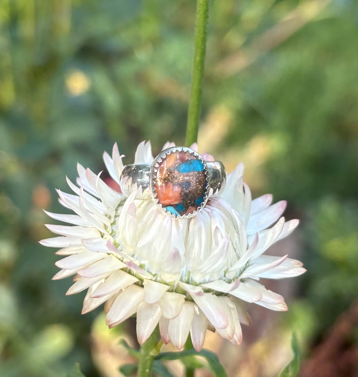 Spiny Oyster and turquoise ring (Size 4.5)