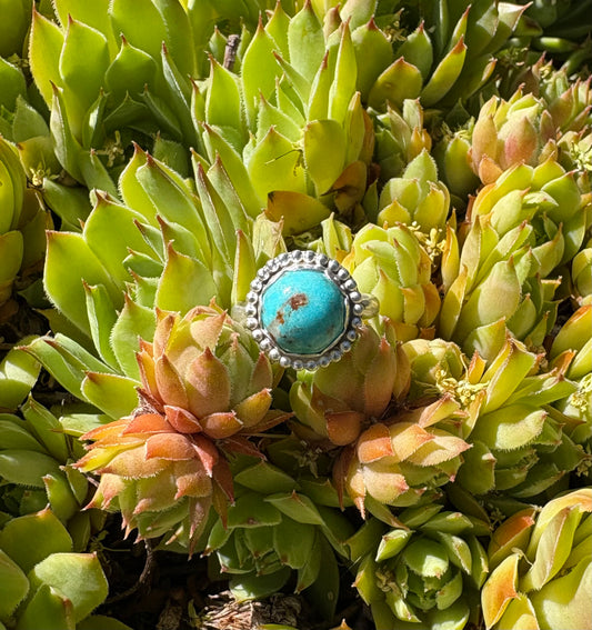 Turquoise Ring (Size 6)