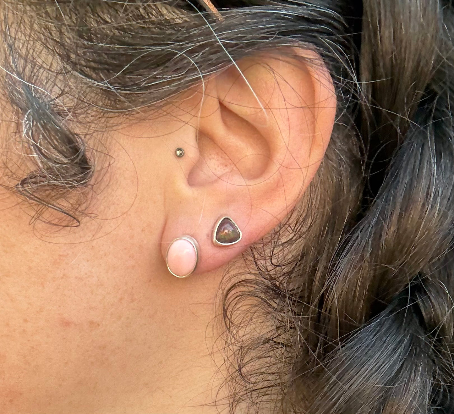 Conch Shell Earrings