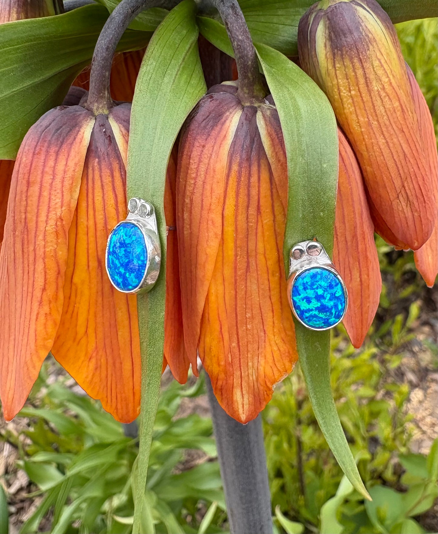 Lab Created Opal Earrings