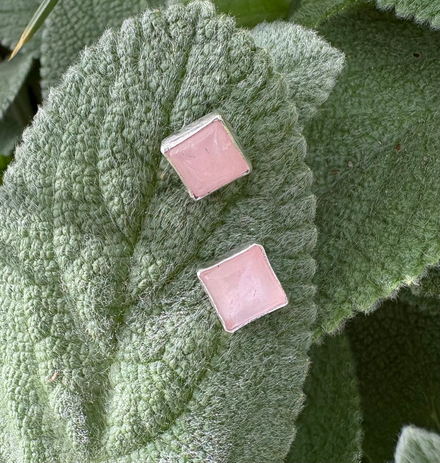 Rose Quartz Earrings