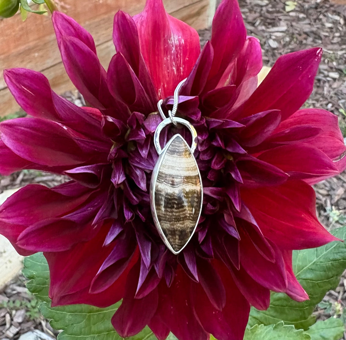 Cocoon Necklace (20 Inch Chain)