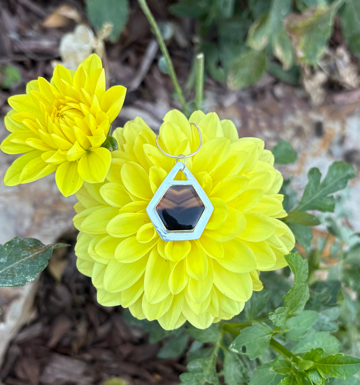 Hexy Montana Agate Necklace (18 Inch Chain)