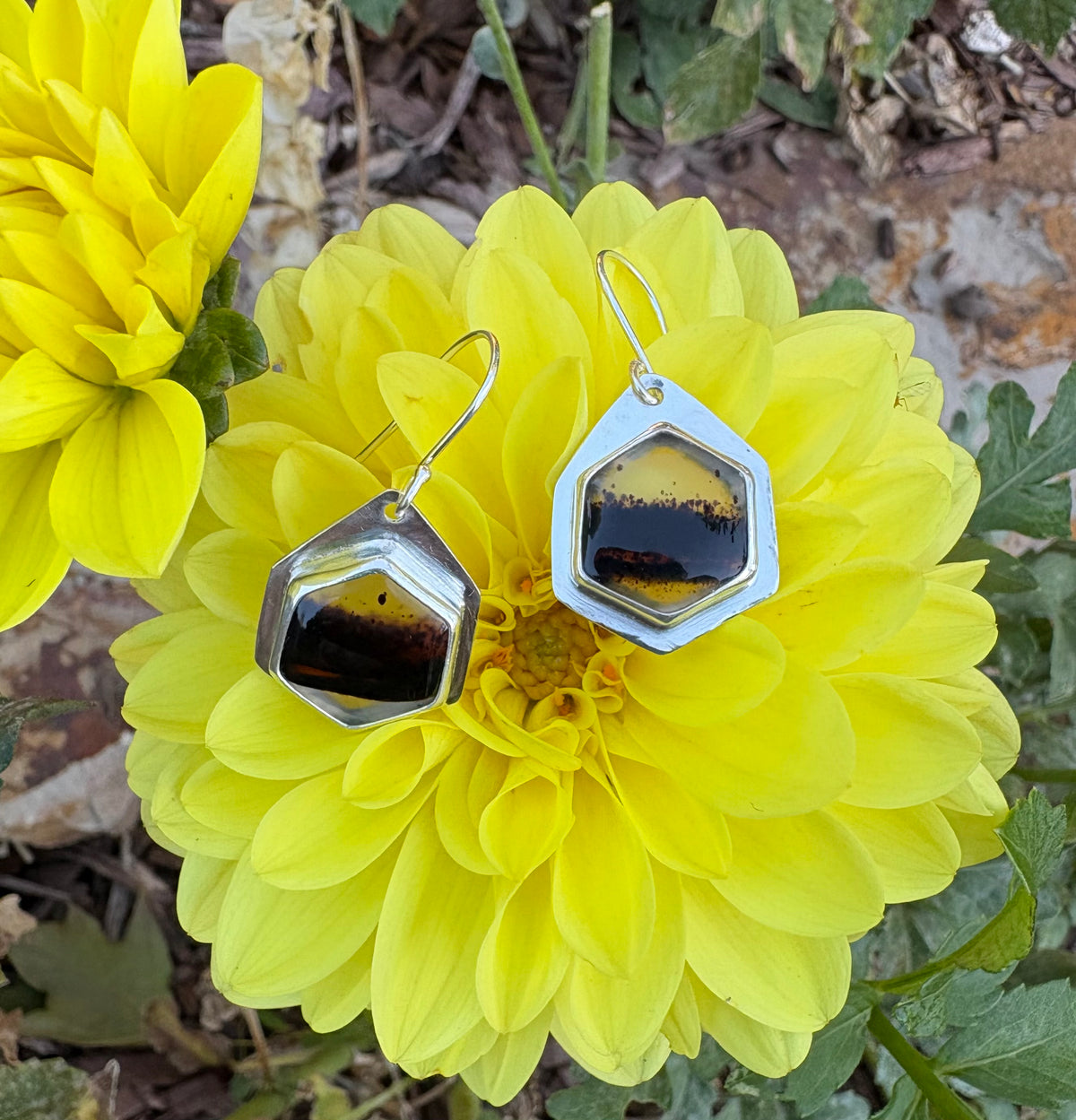 Hexy Montana Agate Earrings
