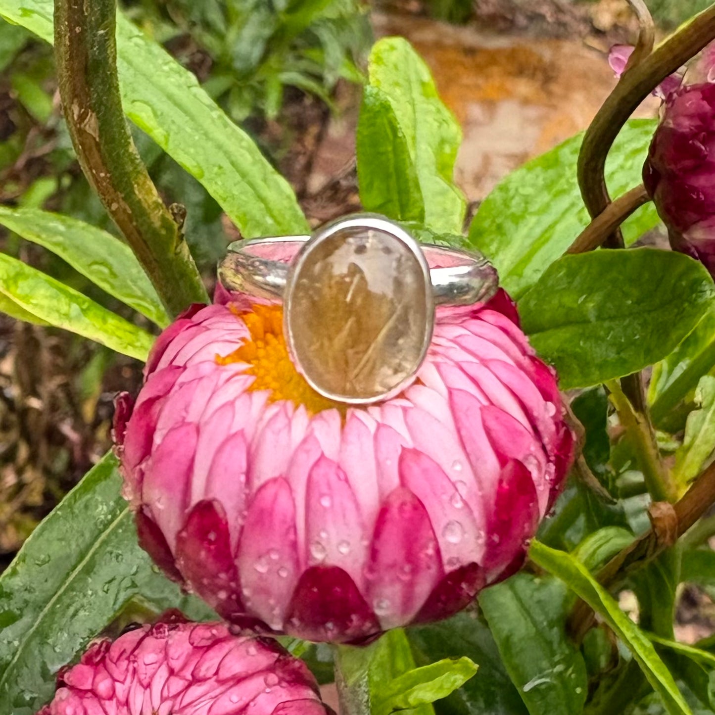 Rutile Quartz Ring (Size 5)