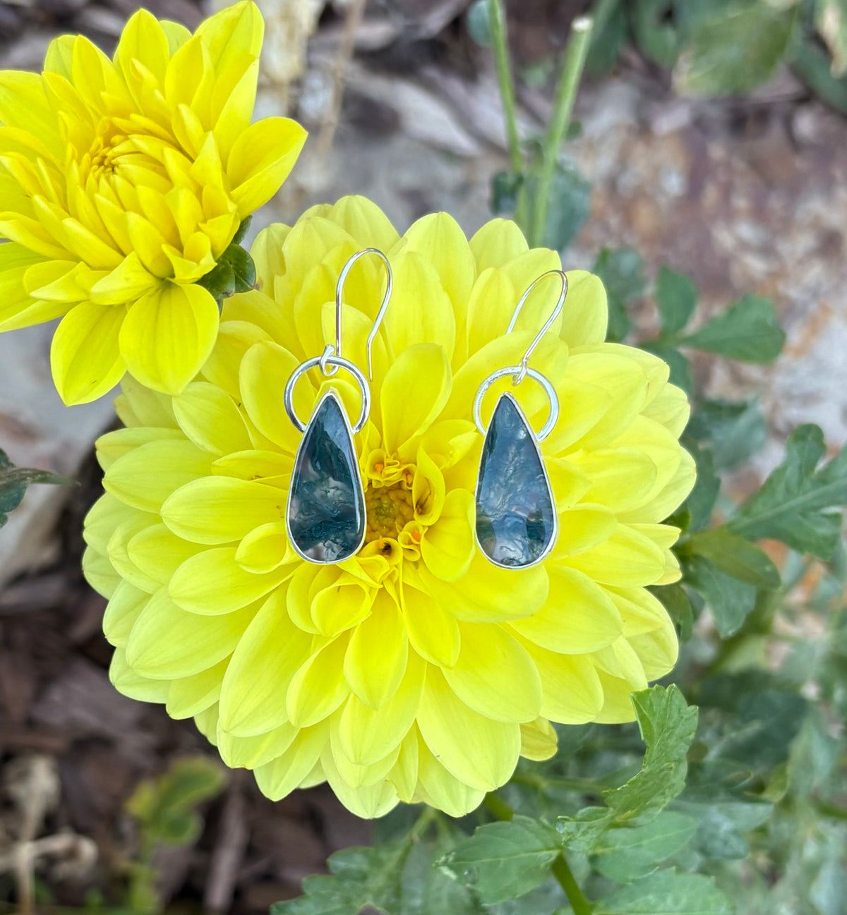 Teardrop Moss Agate Earrings