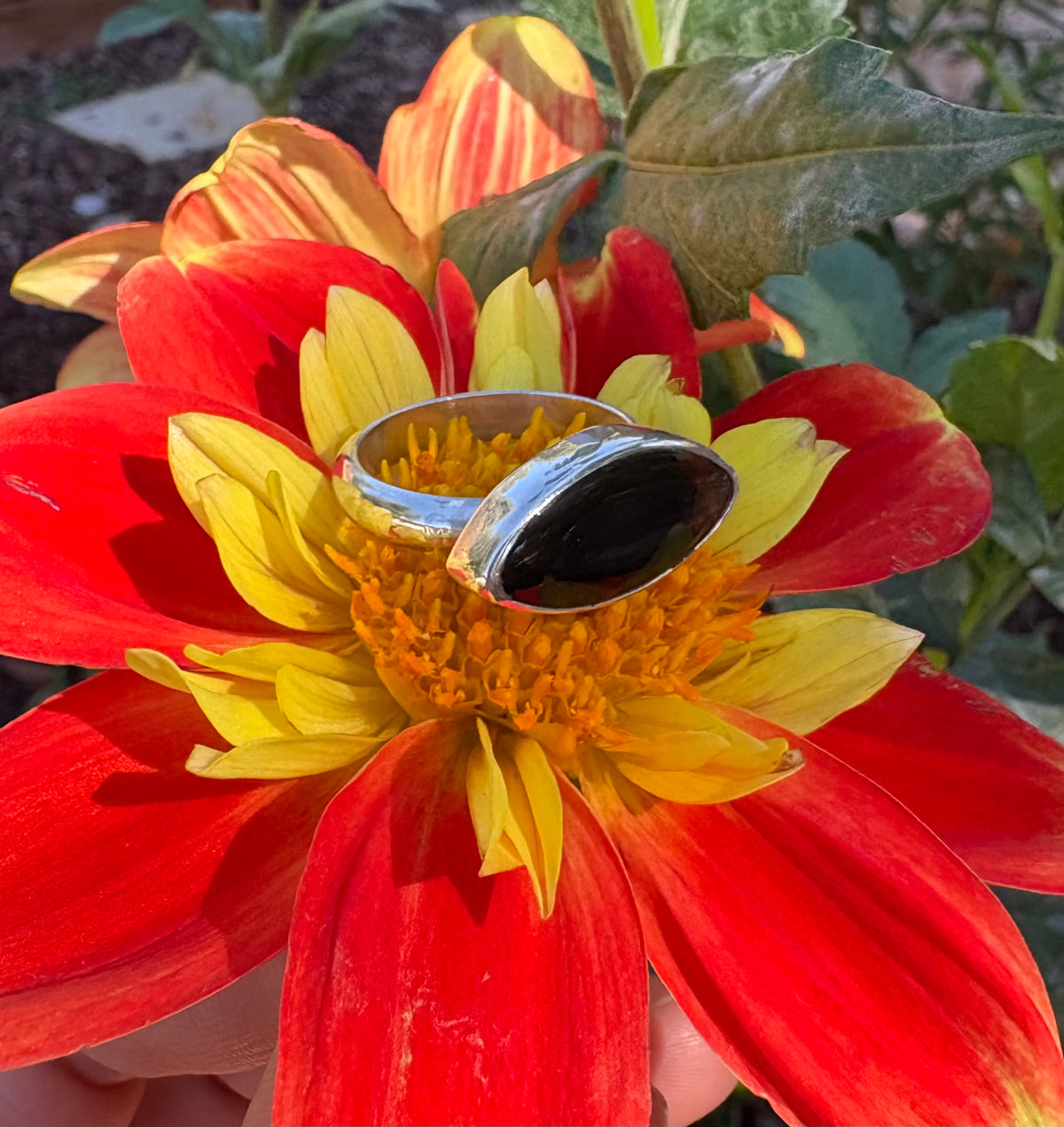 Watchful Eye Montana Agate Ring (Size 9.5)
