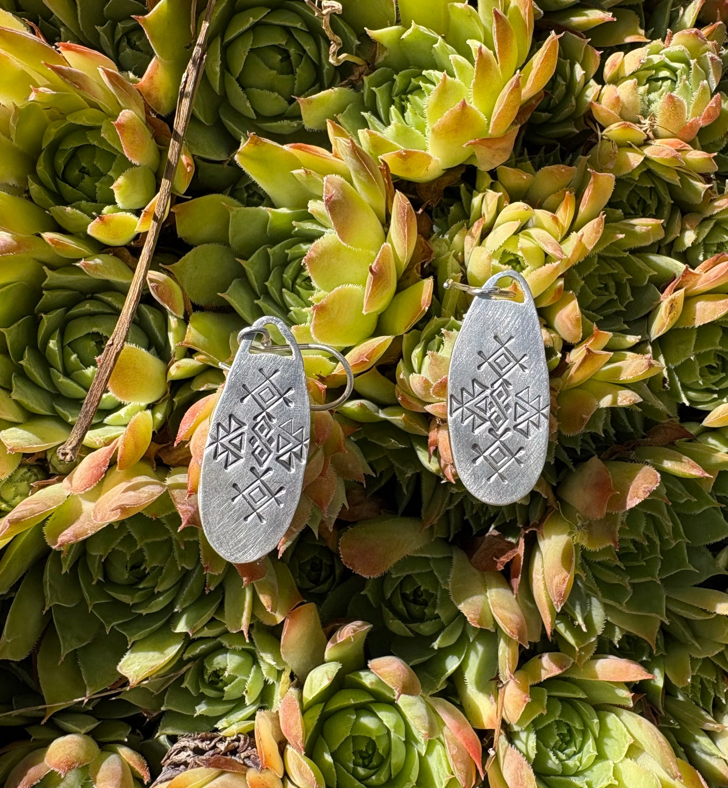 Spiny Oyster and Turquoise Earrings