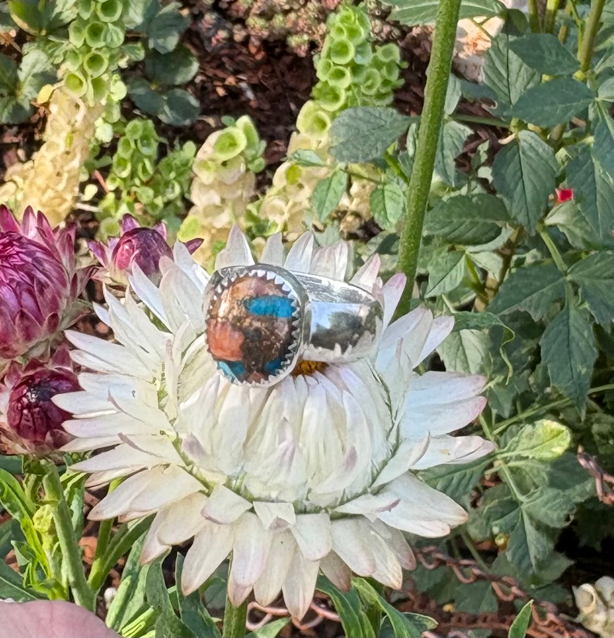 Spiny Oyster and turquoise ring (Size 4.5)